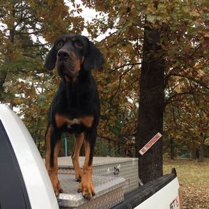 Meet your Posher, Cody